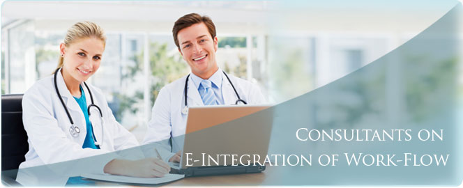 Consultants on e-integration work-flow